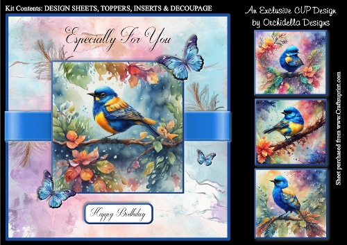 Painted Butterfly & Birds