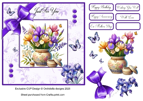 Pretty Potted Flowers
