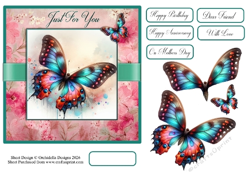 Beautiful Butterfly 