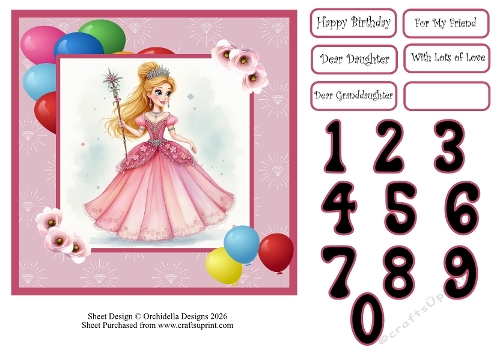 Princess Birthday