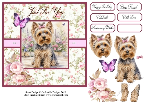 Your Best Friend Yorkie