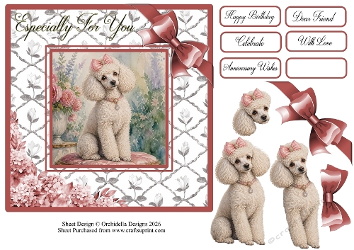 Sweet Poodle Wishes