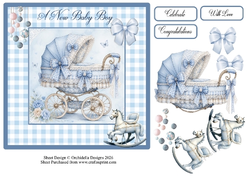 Baby Boy Carriage