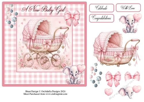Baby Girl Carriage