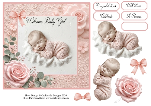 Welcome Baby Girl