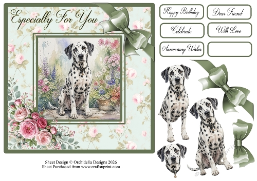 Dalmation Wishes
