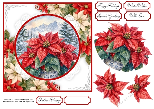Christmas Poinsettia Portrait