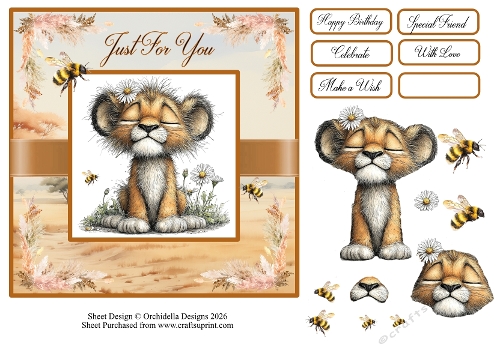 Little Proud Lion Cub