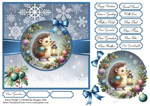 Sweet Christmas Hedgehog