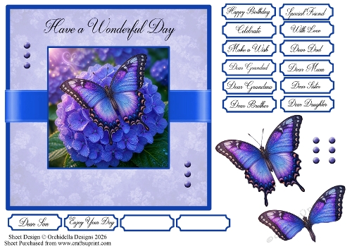 Purple Beauty Butterfly