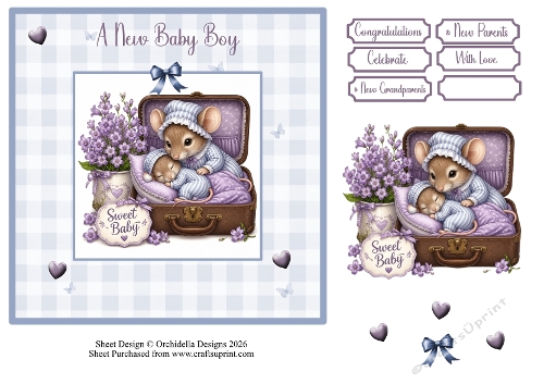 Sweet Mice Baby Boy