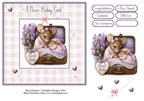 Sweet Mice Baby Girl