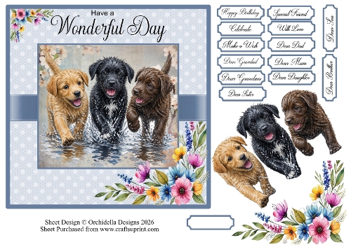 Wonderful Day Wet Pups