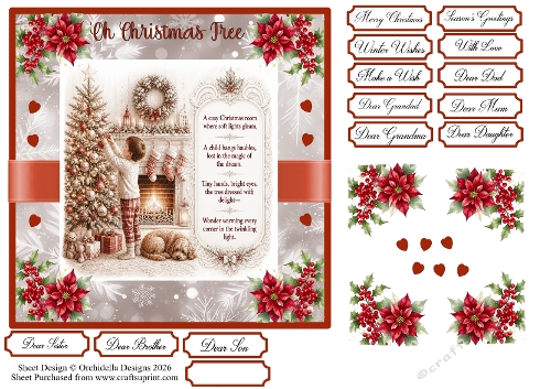 Cosy Christmas Series Boy in Red