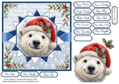 Happy Christmas Mr Bear