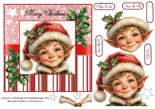 Merry Christmas Little Elf
