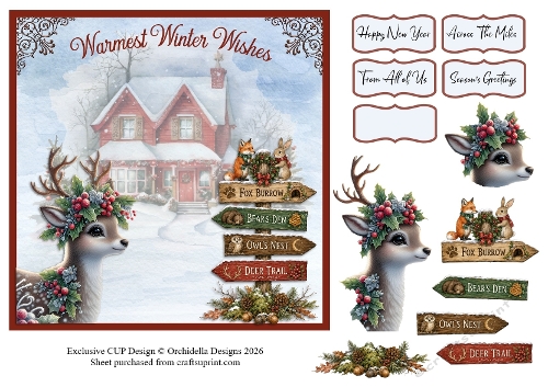 Winter Deer Trail