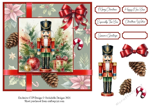 The Handsome Nutcracker