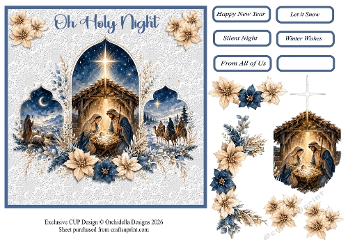 One Special Holy Night