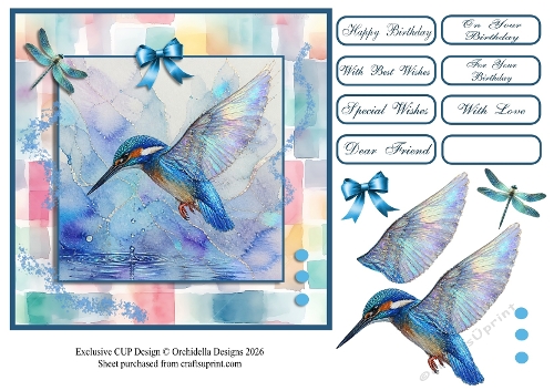 Magical Kingfisher Birthday