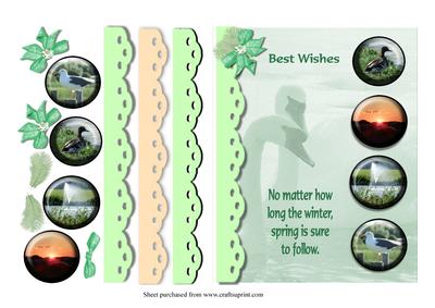 Best Wishes Nature Card Front