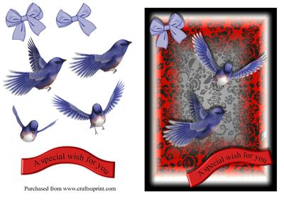 Bluebirds Special Wish Card Front