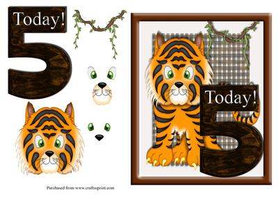 Tiger Age 5 Birthday Card Front