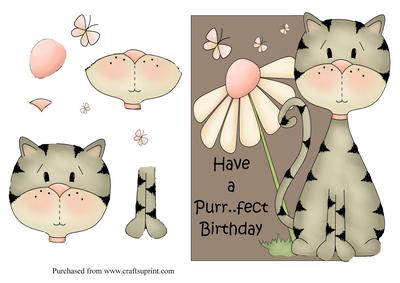 Purr - fect Birthday Card Front