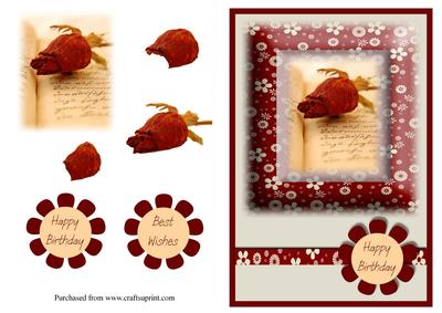 Rose Happy Birthday Card Front