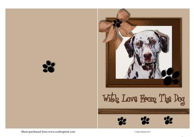 Love from the Dog Number 2