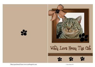 With Love from the Cat Quick Card