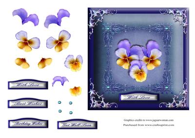 Pansy Passion