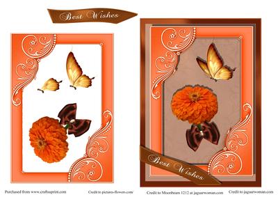 Citrus Best Wishes Card Front