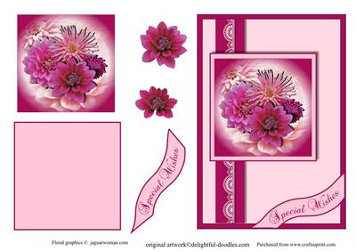 Pink Dahlias