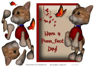 The Cats Purrfect Day