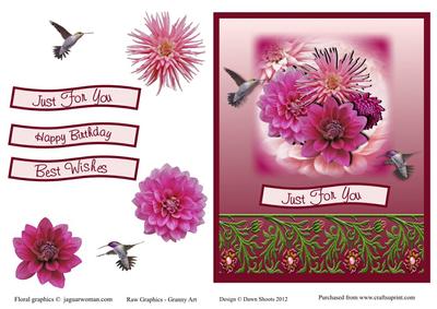 Humming Bird Paradise