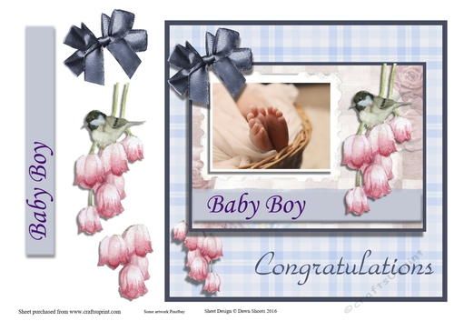 New Baby Boy