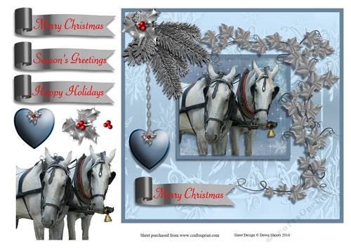 Christmas Canter