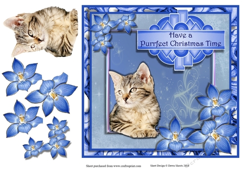 Purrfect Christmas Time