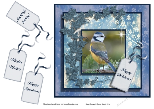 Snowy Christmas Bird One