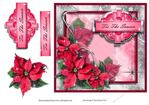 Pretty Poinsettia Greetings