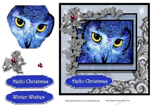 Frosty Christmas Owl