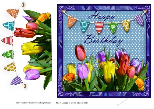 Spring Tulip Birthday