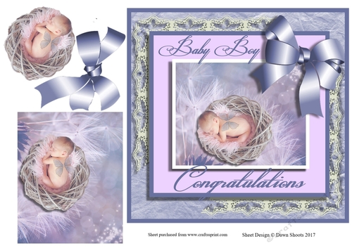 Fairy New Baby Boy00
