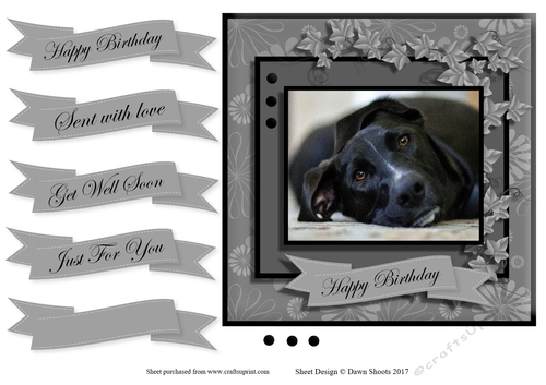 Sweet Paws Greyhound