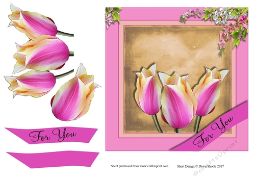 Spring Morning Tulips