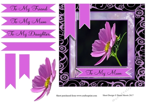 Lovely in Lavender