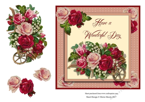 Wonderful Day and Beautiful Roses