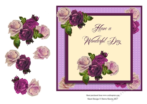 Wonderful Day and Blissful Roses