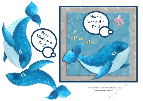 Whale of a Day